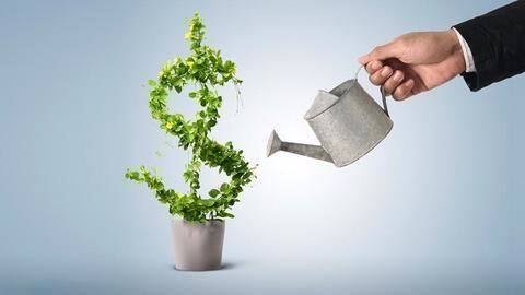 Snapdeal raises new round; valuation up by $2 billion Snapdeal raises new round; valuation up by $2 billion
