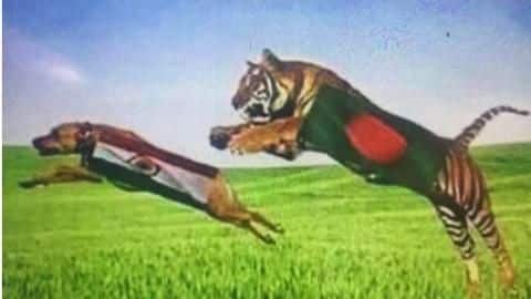 Ahead of India clash, Bangladesh fans start playing ugly Ahead of India clash, Bangladesh fans start playing ugly