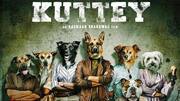 'Kuttey': Will the movie get a second chance on OTT 