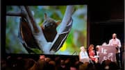 Pizza-loving lizards to alcoholic bats: Bizarre research wins Ig Nobel
