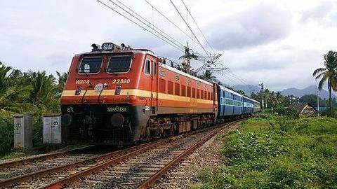 Speeding train kills five elephants in Assam Speeding train kills five elephants in Assam