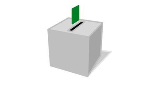 The Swiss Citizenship Referendum