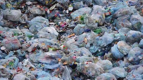 Kenya bans plastic bags, violators may be fined $38,000 Kenya bans plastic bags, violators may be fined $38,000