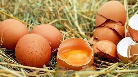 Eggs scandal that is rocking 16 European countries Eggs scandal that is rocking 16 European countries