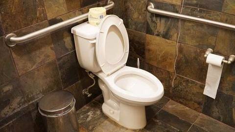 Rajasthan court: No toilet at home is 'cruelty-towards-women', grants divorce Rajasthan court: No toilet at home is 'cruelty-towards-women', grants divorce