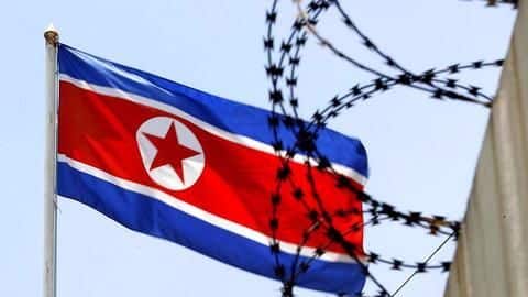 North Korean defector has enormous parasites in body