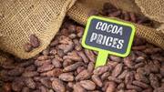 How to navigate Africa's cocoa markets