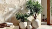 Why handcrafted pottery is perfect for sustainable interiors 