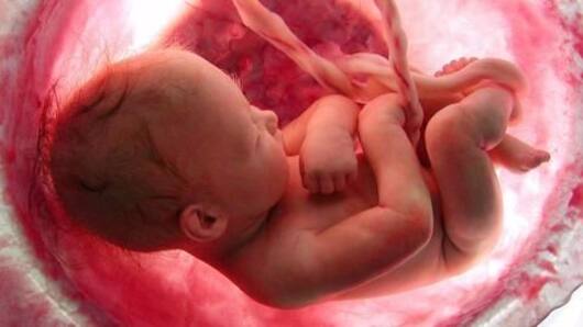 India's first successful womb transplant