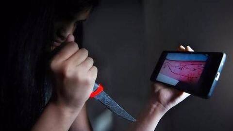 What're you doing to restrict Blue Whale?: HC asks Centre What're you doing to restrict Blue Whale?: HC asks Centre