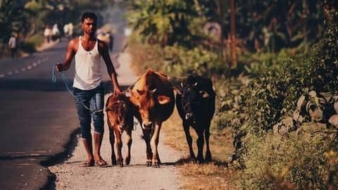 Right-wing groups launch campaigns against non-vegetarian eateries in NCR Right-wing groups launch campaigns against non-vegetarian eateries in NCR
