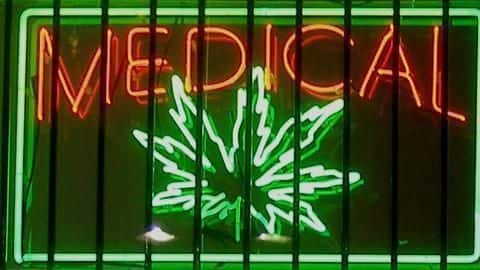 'Legalizing marijuana reduces drug abuse': Is Maneka Gandhi right? 'Legalizing marijuana reduces drug abuse': Is Maneka Gandhi right?