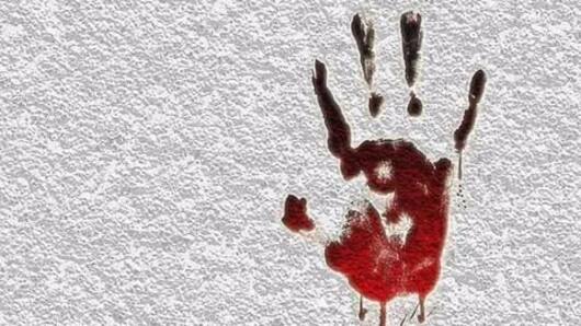 Noida double murder: Attacker battles for life