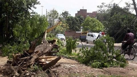 40 more killed in thunderstorms across UP, Bihar, Jharkhand 40 more killed in thunderstorms across UP, Bihar, Jharkhand