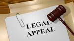 No permission for Mallya to appeal either