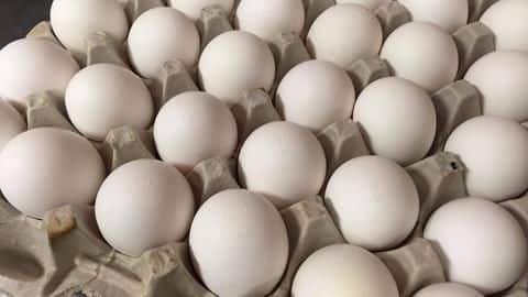 Egg prices at an all-time high in India
