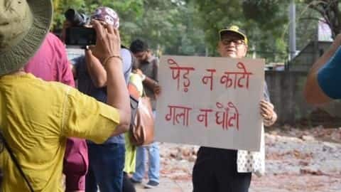 Delhi HC stays felling of 16,000 trees till July 2 Delhi HC stays felling of 16,000 trees till July 2