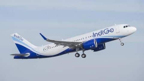 Doctor allegedly manhandled, offloaded from IndiGo-flight after complaining about mosquitoes Doctor allegedly manhandled, offloaded from IndiGo-flight after complaining about mosquitoes