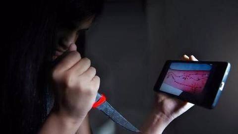 SC dismisses petition seeking a ban on 'Blue Whale challenge' SC dismisses petition seeking a ban on 'Blue Whale challenge'