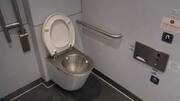 Poop from the sky! NGT asks panel to analyze "waste"
