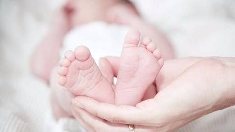 To their surprise, they found one baby alive To their surprise, they found one baby alive