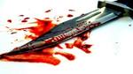 The twisted Sheena Bora murder case