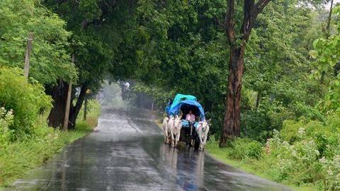 Nine TN districts brace for heavy rainfall