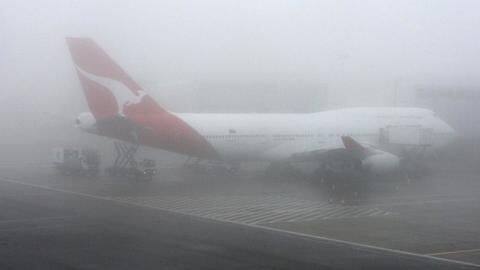 Dense fog hits flight, train operations in North India again Dense fog hits flight, train operations in North India again