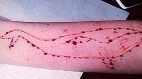 Government asks Facebook, Google, others to remove Blue Whale links Government asks Facebook, Google, others to remove Blue Whale links