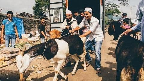 Ahead of Bakri Eid, government-agency launches campaign against animal sacrifice Ahead of Bakri Eid, government-agency launches campaign against animal sacrifice