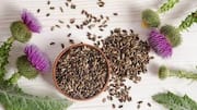 Milk thistle: A natural remedy for liver health