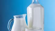Camel milk: An ancient superfood for modern times