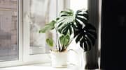 Keep your home dust-free the easy way