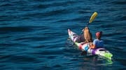 5 surprising health benefits of paddle boating