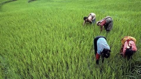 Maharashtra farmers call off protests following farm loan waiver Maharashtra farmers call off protests following farm loan waiver