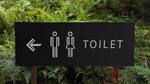 Why is China contemplating a toilet revolution?
