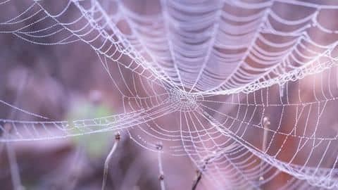 IIT-Kharagpur team develops wearable tech from silk IIT-Kharagpur team develops wearable tech from silk