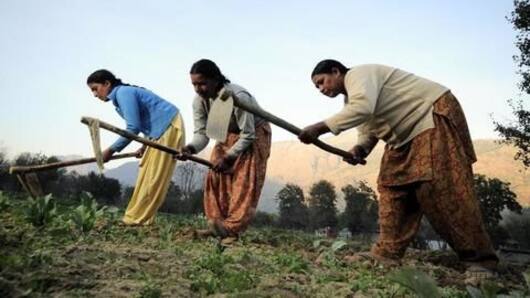 NITI Aayog's taxation theory needs a reality check?