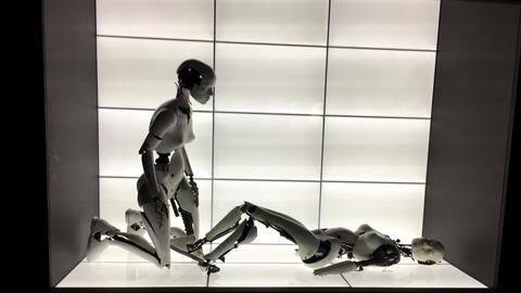 I married a robot and I am happy I married a robot and I am happy