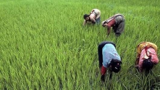 Loan waivers will do more damage than good
