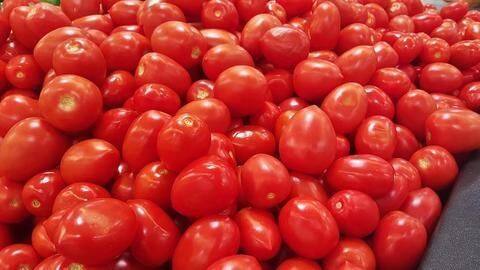 Delhi: Tomatoes being sold at Rs. 100/kg, country facing shortage Delhi: Tomatoes being sold at Rs. 100/kg, country facing shortage