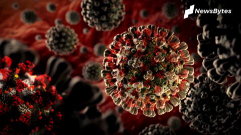 'Double mutant variant' of COVID-19 found in 18 states: Centre 'Double mutant variant' of COVID-19 found in 18 states: Centre