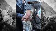 On camera: Miscreants forcefully make horse smoke weed in Uttarakhand