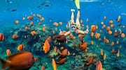 Snorkeling in Iceland: All you need to know