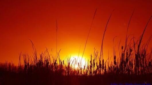 Second hottest May on record