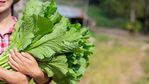 Five food items that can ease out symptoms of hypothyroidism Five food items that can ease out symptoms of hypothyroidism