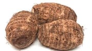 Cocoyam: A nutritious root vegetable to try 