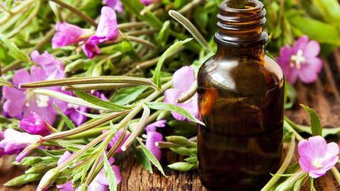 Know about flower therapy, a completely natural form of healing Know about flower therapy, a completely natural form of healing