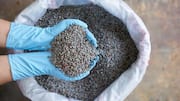 Fertilizers might become costlier in India this October