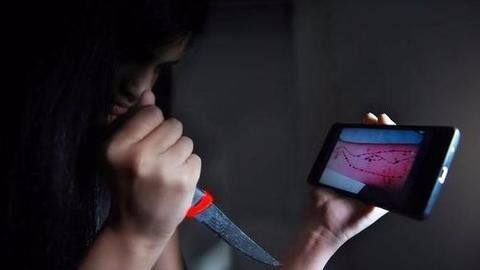 The Blue Whale challenge: Fact or fiction? The Blue Whale challenge: Fact or fiction?